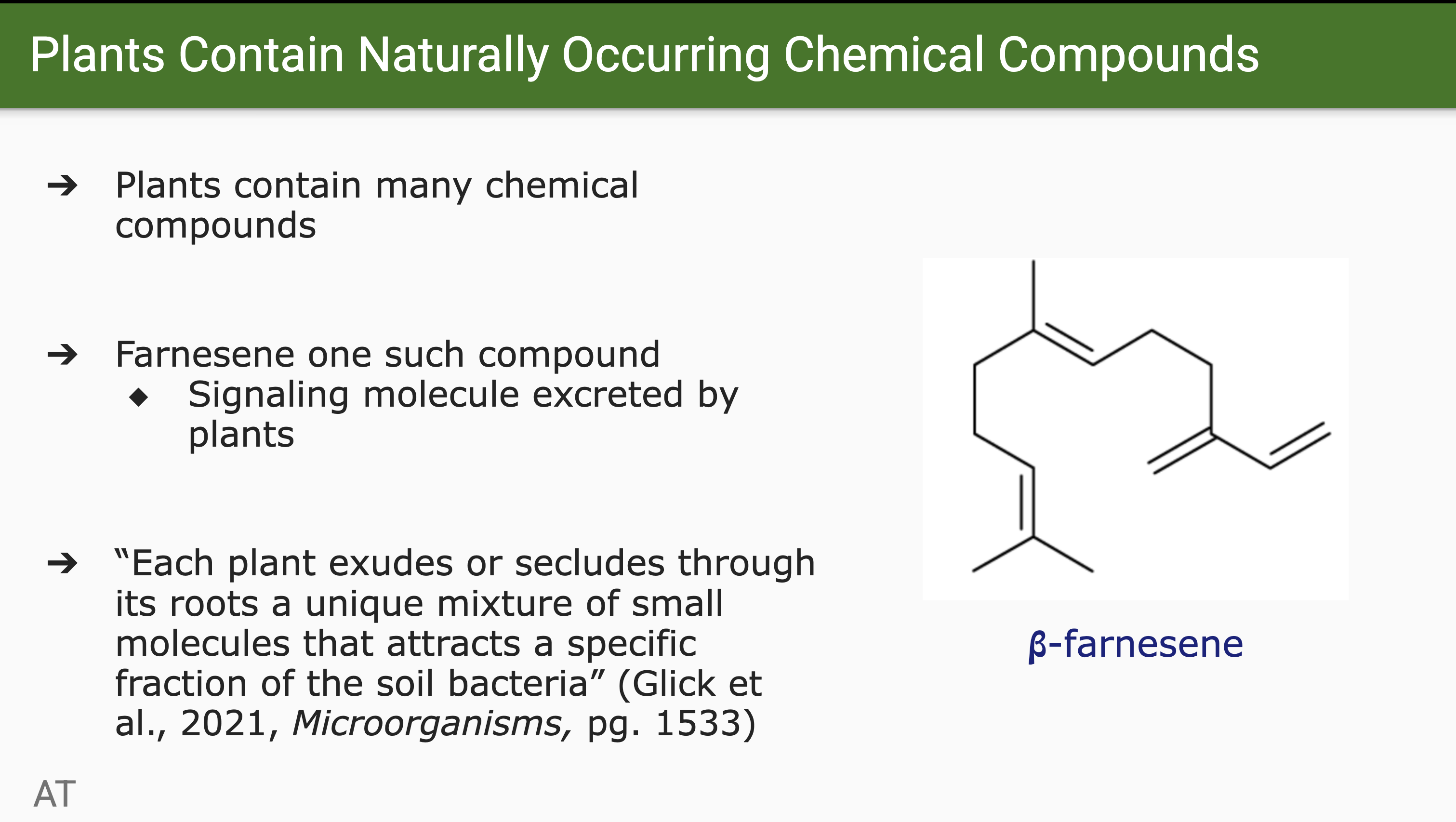 Slide 6